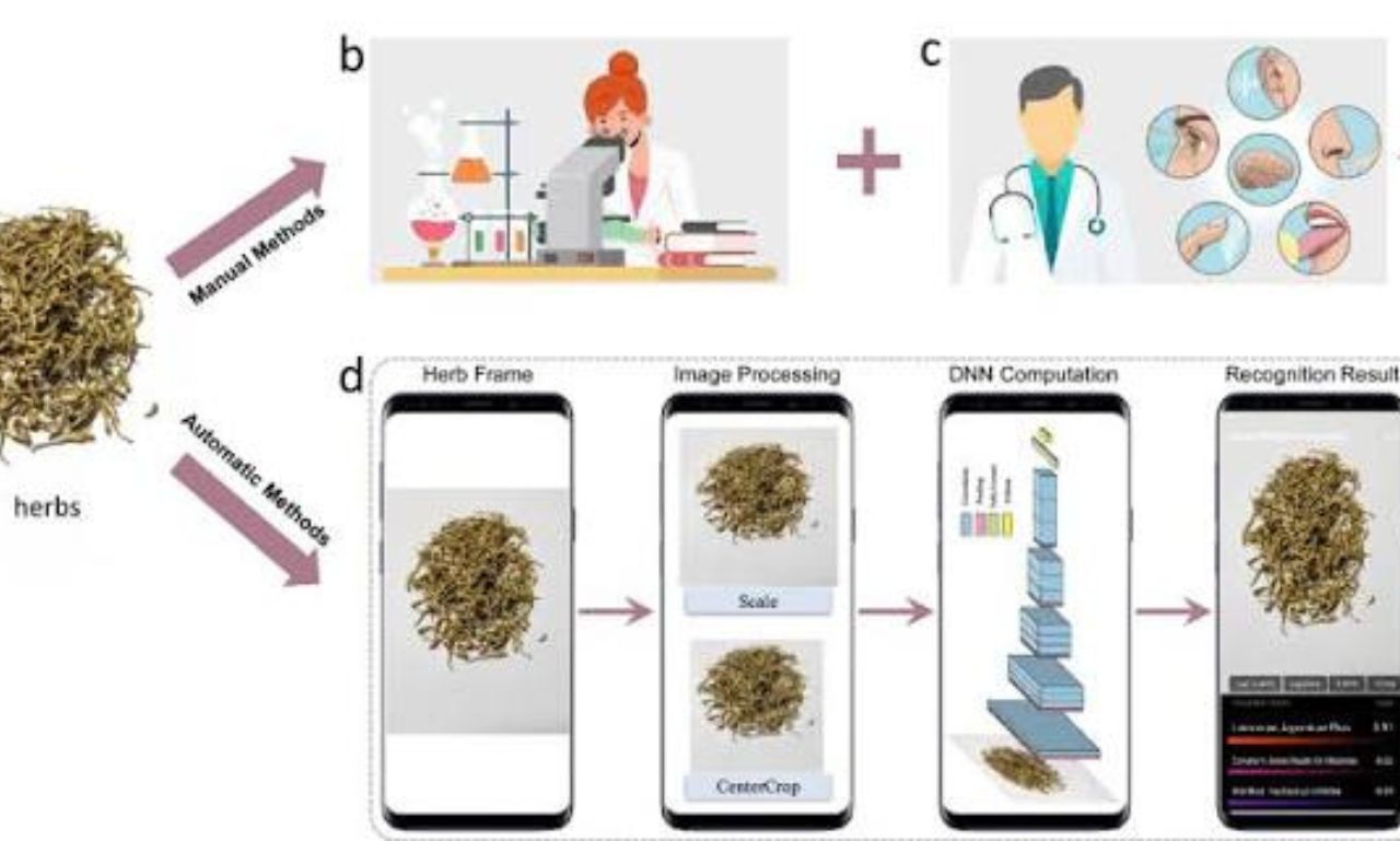 Herbciepscam